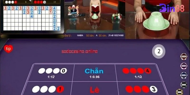 Cầu xóc đĩa được cho là có tính biến đổi theo chu kỳ.