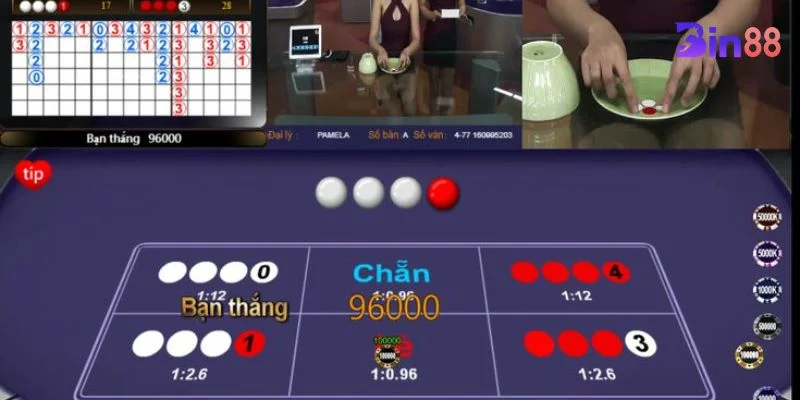 Cầu chẵn lẻ có rất nhiều dạng thức xen kẽ.